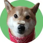 ばんつーたんの画像