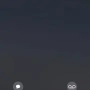 ぴこの画像