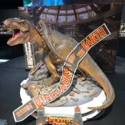 アイアイの画像