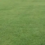 sinosinoの画像