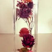 ハンドの画像