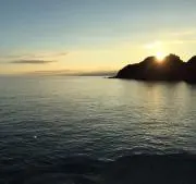 nagomiiの画像