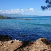 waikikihana