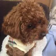 あっち