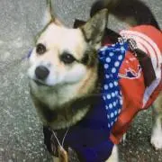 なっちゃん