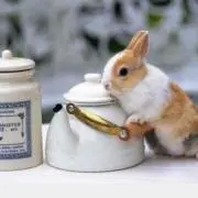 なな（引っ越しの為値下げ中！）