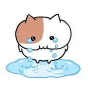 にゃみの画像
