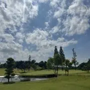 junisu_sujuniの画像
