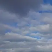 かんたの画像