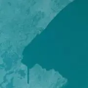 SAの画像