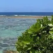 kh77★の画像