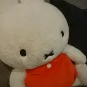 z-bicの画像