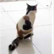 ha〜☆プロフご覧下さい☆リピ割ありの画像
