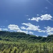ANU︎︎︎︎の画像