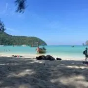 Wally@24時間以内発送の画像