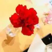 ポンスカポン