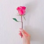 Tの画像