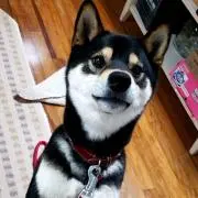 あず☆りん
