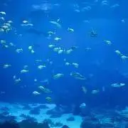 ボカディージョの画像