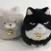 ペルリの画像