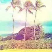 mo.moの画像