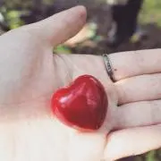 もちの画像