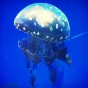 mimiの画像