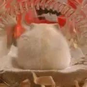 ほしの画像