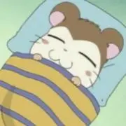 akariの画像