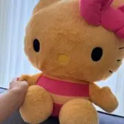 chiaの画像