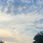 moom