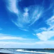 BTBの画像