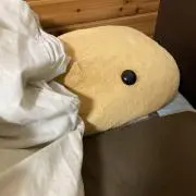 ユキの画像