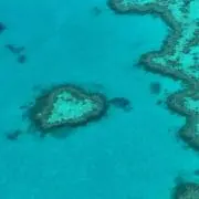 ネム様の画像