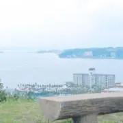 Eringiの画像
