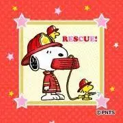 てみー　プロフ読んでね⭐️の画像