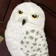 ゆうママの画像