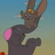 よこ
