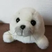 ひちょりの画像