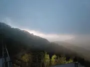 なのはなの画像
