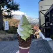 たこの画像