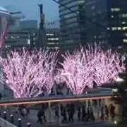 しょーくん