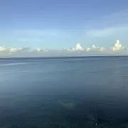 スミスの画像