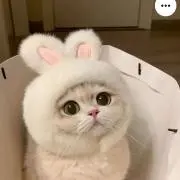 kdrmeruの画像