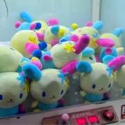 はちの画像