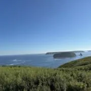みどりぃの画像