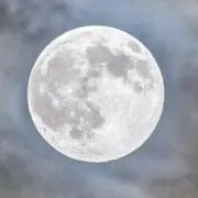 うさ子