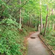amani.の画像
