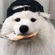 けい