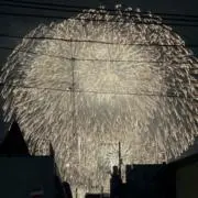 おぐりんの画像